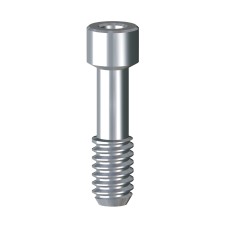 Abutment Screw